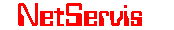 NetServis
